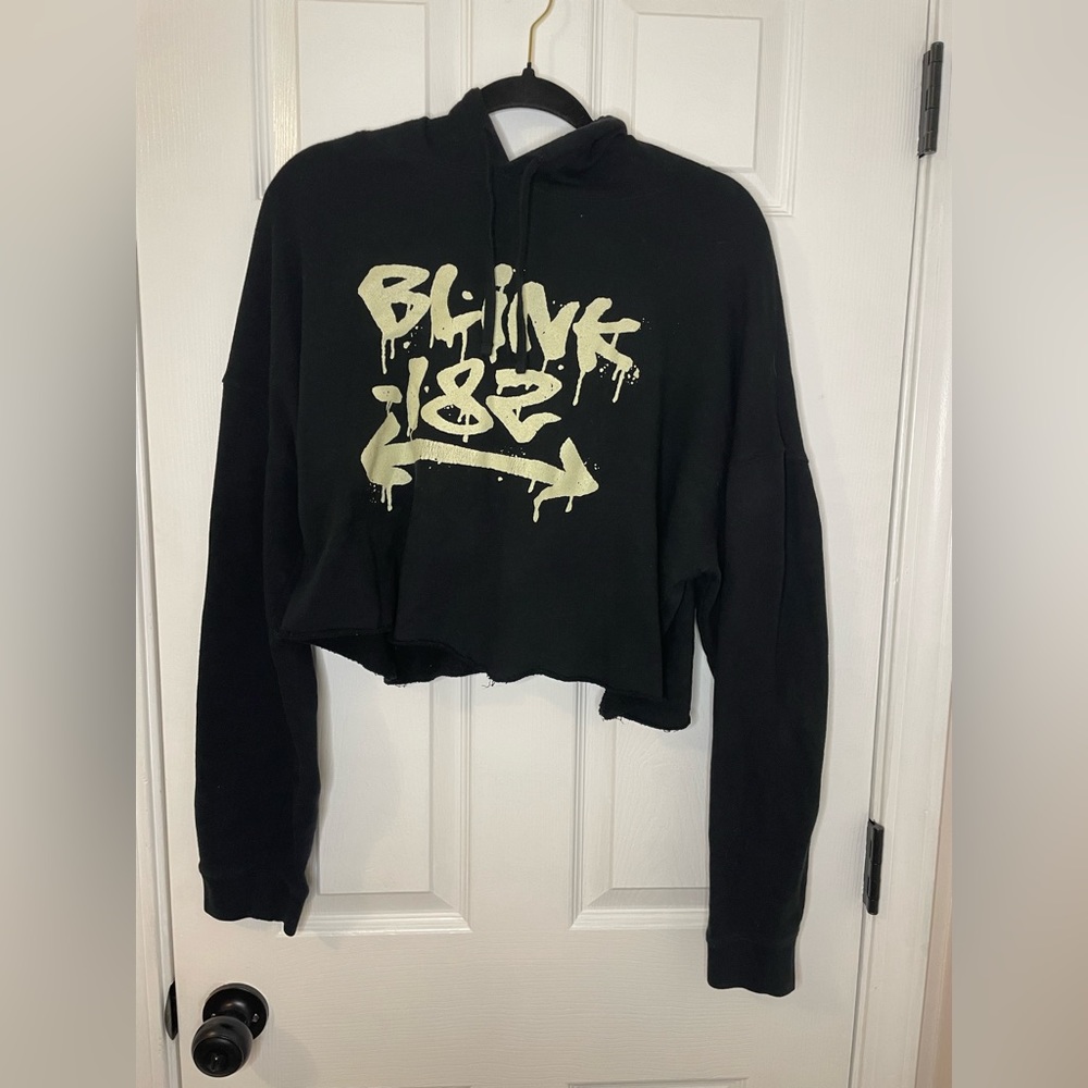 Vintage Cropped BLINK 182 Merch Cropped Hoodie
